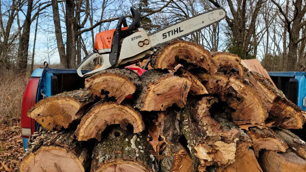 cut-wet-wood-with-chainsaw
